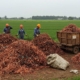 Вывоз медного металлолома с сельскохозяйственных объектов